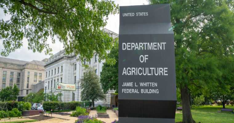 USDA Forest Service announces $34 million for forestry innovation and job creation