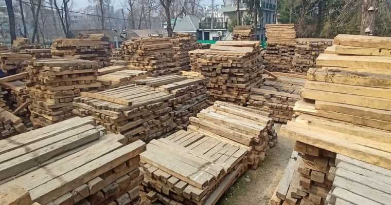 Brazil&rsquo;s Forest Exports Soar: Wood-based products up by 20% in September