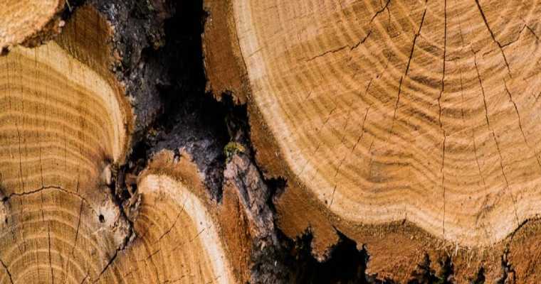 Ahlstrom finalizes sale of Aspa pulp mill to Sweden Timber