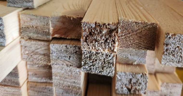 Russia slashes unprocessed timber supplies to EAEU nations by 11% in 9 months
