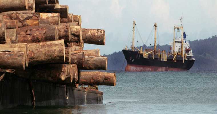 Quarter of Australian timber products under scrutiny for &ldquo;potentially misleading&rdquo; labels
