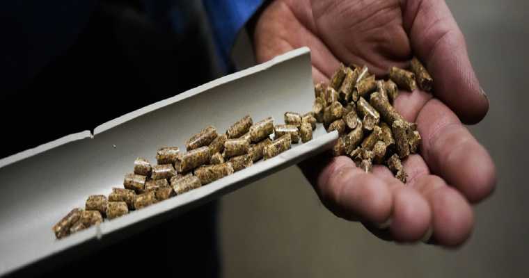 US wood pellet exports climb in September, hitting nearly 900,000 tons