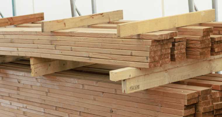 Europe faces timber shortage crisis as demand outstrips hardwood supply