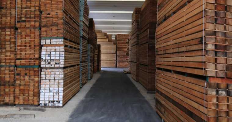 Canada faces major trade disruption as port strike delays timber exports to the far East