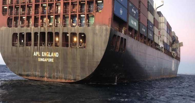 Global container ship orders surge by 52%, with 254 new vessels for 2024