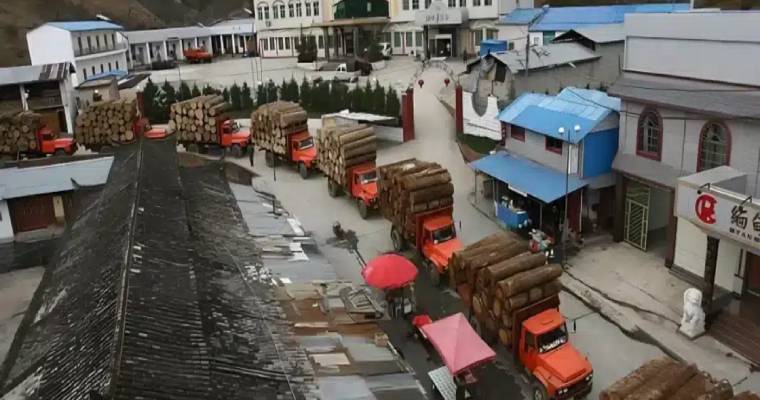 China strengthens its grip on global timber supply chains with $2.7 billion deal