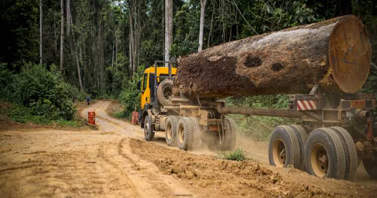 Vietnam boosts forestry exports by 6% in December, recording 15.8% yearly rise