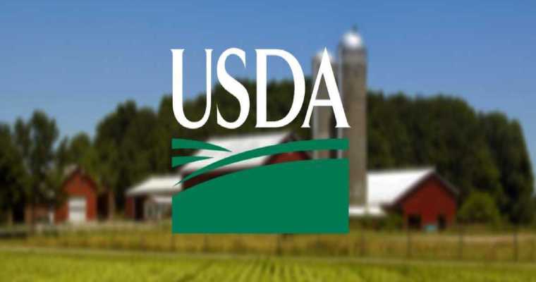 USDA boosts wood processing facilities to curb rising wildfire risks