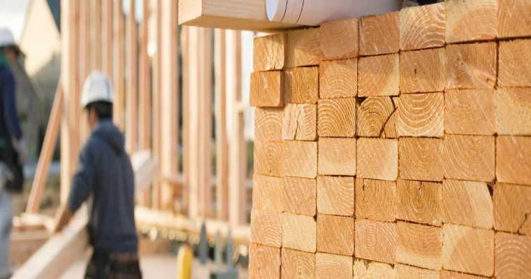 Europe to rely on high-risk timber sources after cutting 132 million m&sup3;