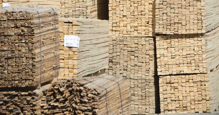 Estonian timber prices set to rise in 2025 as supplies tighten