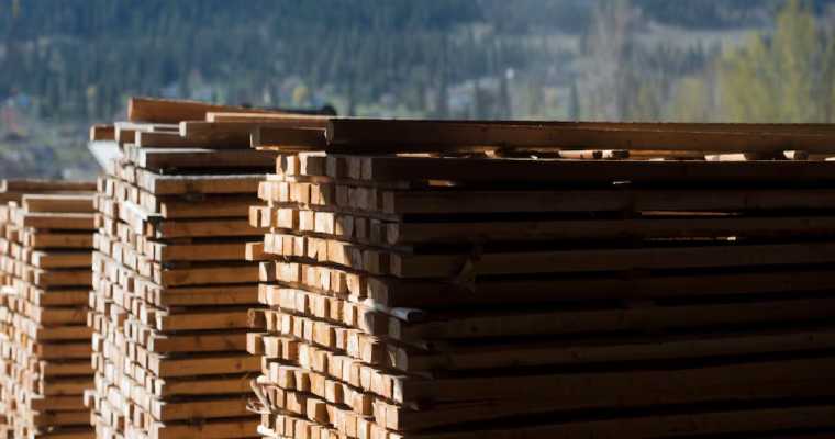 Canadian lumber production fell by 6% in November, down 11% from 2023