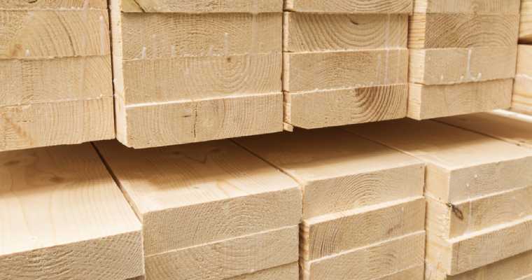 February brings unexpected rise in German timber prices