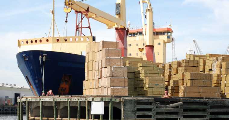Norwegian timber prices surge amid strong European demand &ndash; February 14, 2025
