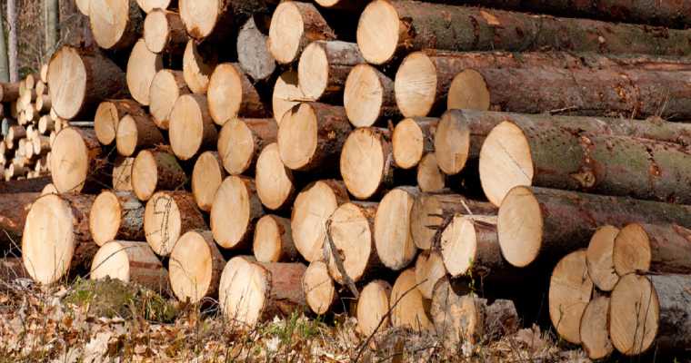 Sweden's softwood sawlog supply reached the lowest level in December since 2017
