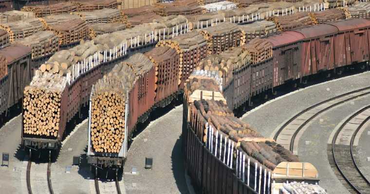Vietnam to boost U.S. timber imports amid China&rsquo;s suspension of U.S. wood shipments