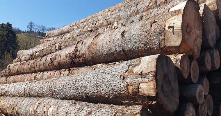 Brazil&rsquo;s February wood exports fall sharply, signaling global slowdown