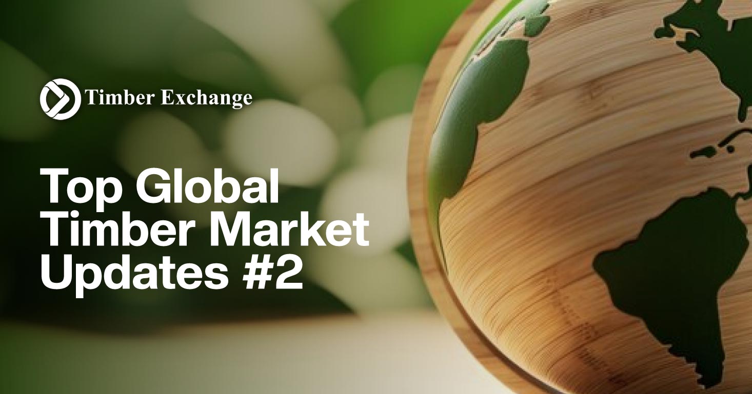 Top Global Timber Market Updates #2