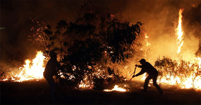 Chilean forest battles with a lethal fire as a heatwave gripped the country