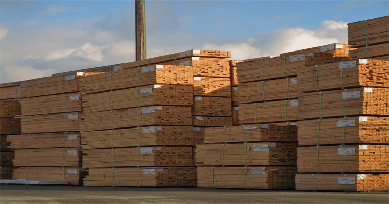 Exports of Indonesian wood products soared to $14.51 billion in 2022