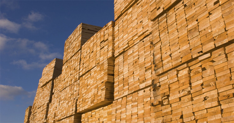 Global wood market to hit $903 billion by 2026 due to boom in the construction sector