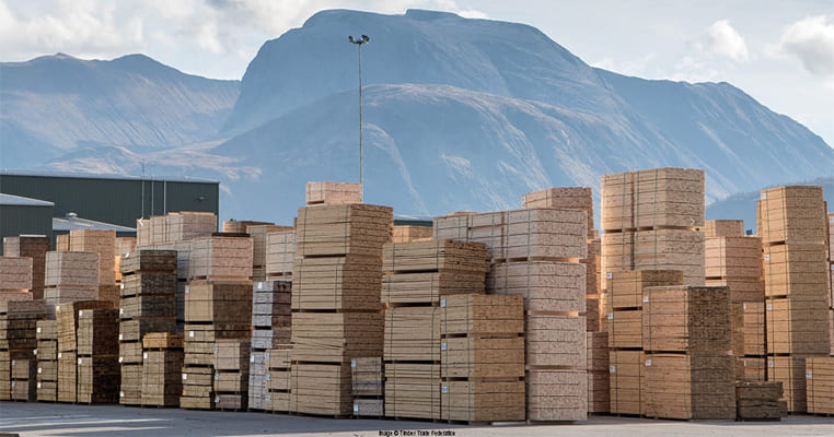 Timber imports to the UK fell by 20% in 2022 but 2023's outlook is brighter