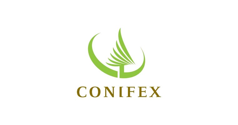 Conifex inked a hosting services agreement with Greenidge Generation in BC, Canada