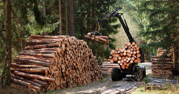 Swedish Forestry hits $17.6 billion of exports in 2022 due to high prices
