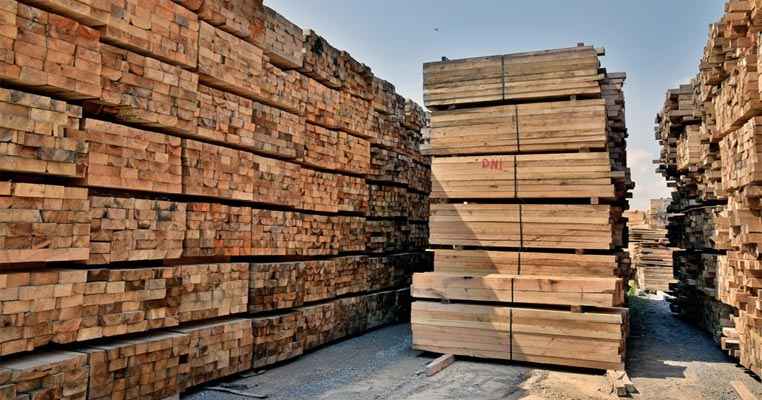 US lumber prices fell by 20% as lumber demand mutes in March