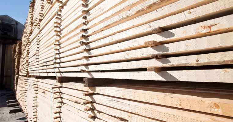 Brazilian exports of timber products fell by 36% in February