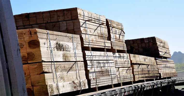 Russia cuts lumber exports by 23% due to logistics difficulties in January-February