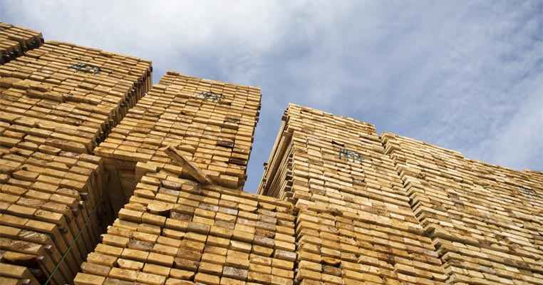Finland's timber trade saw a 33% increase during January-March 2023