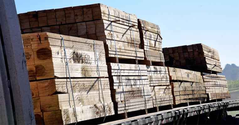 Finland's export of timber products fell by 11% in January-February