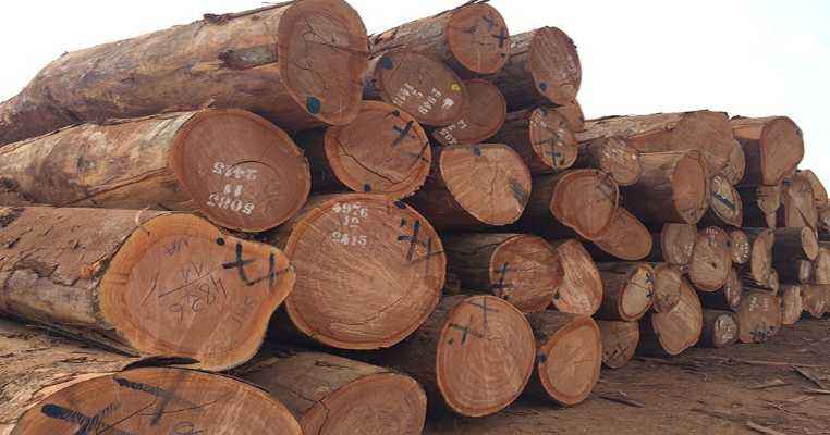Cemac countries saw a 4.1% increase in lumber export prices in Q1