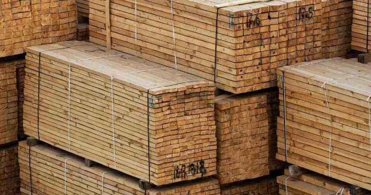 Vietnamese timber export orders fell by 50-60% in 2023