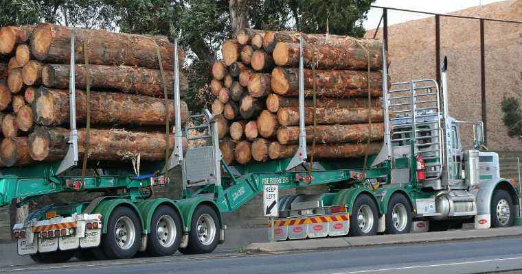 Q1 2023 saw a decline in Chinese log import volumes and value