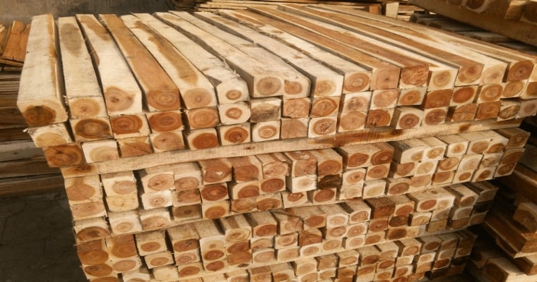 Vietnam&rsquo;s timber exports showed recovery due to high export demands