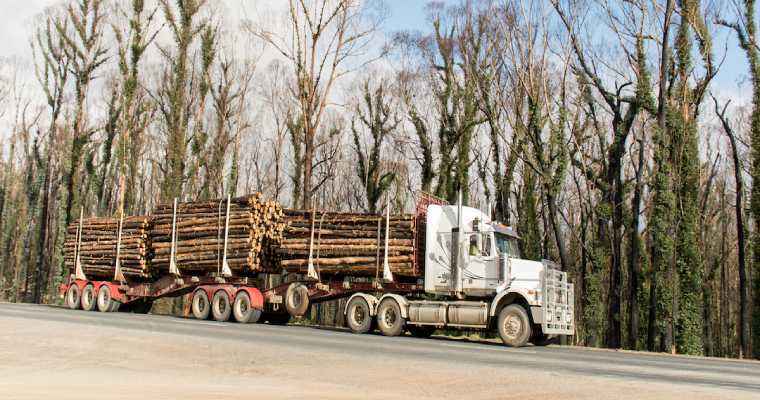 Log trade plunged in the Baltic Sea area in Q1 2023