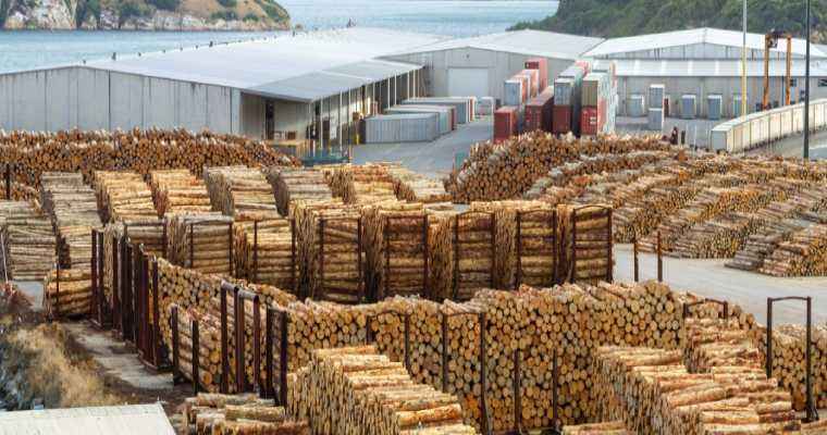Australian timber exports to China unlikely to reach historic levels