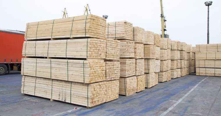 Brazilian exports of wood-based products fell by 35% in May