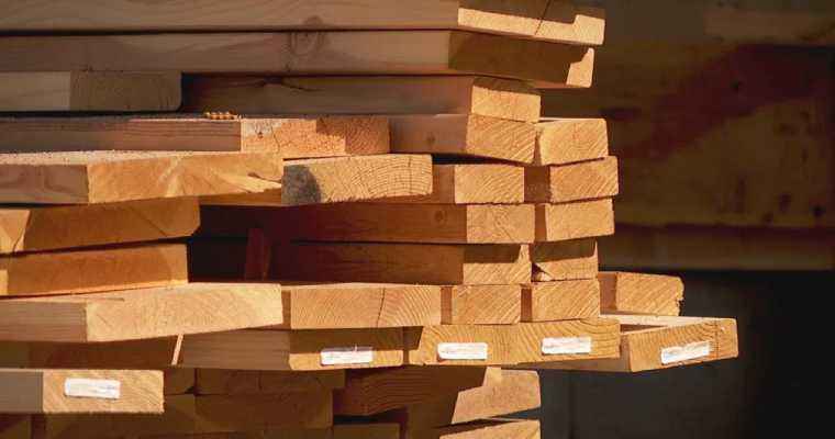 Russian timber production fell annually by 10% from January-May