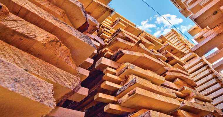US lumber prices saw an increase in June due to higher housing construction