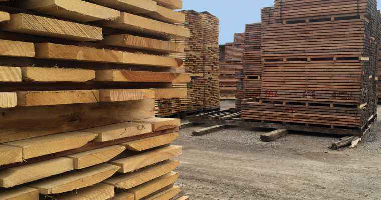 Lumber prices stabilized at new normal levels in Canada