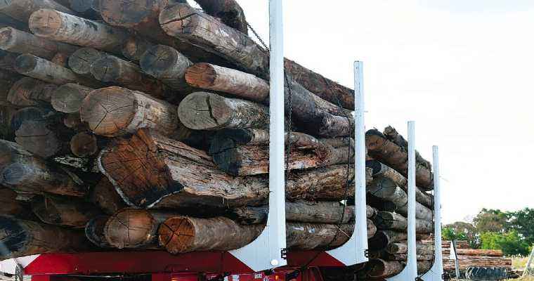 Native timber harvesting to end in the State of Victoria, Australia