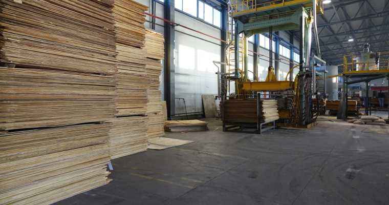 Brazilian exports of wood products fell annually by 39% in June