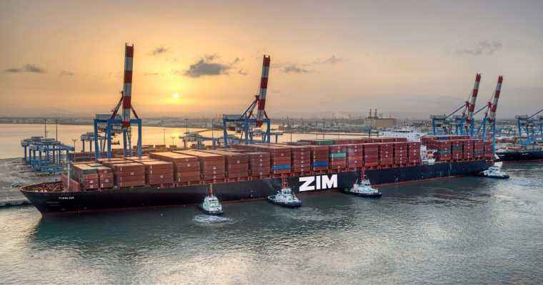 ZIM and MSC displayed the most significant growth again in 2023