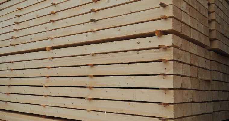 Chinese companies increase timber purchases through Belarusian Universal Commodity Exchange