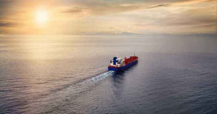 Rising demand drives laden import growth on North America's East Coast