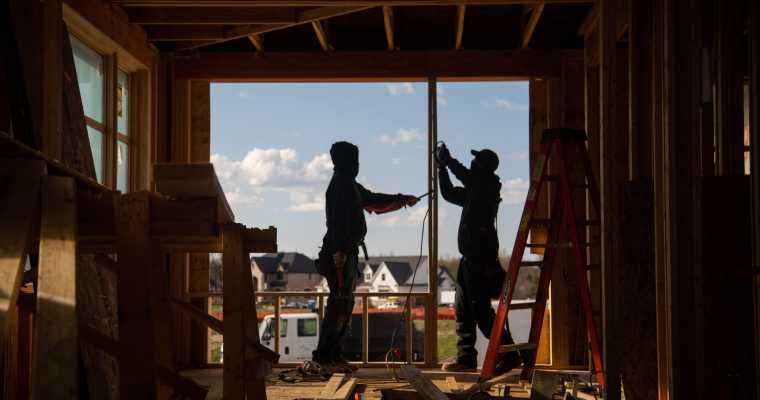 Wood prices dip amidst cooling housing construction in Europe