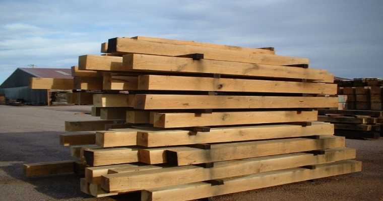 Timber Triumph: UK imports soar 8% in May 2023