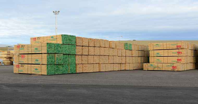 Tropical timber imports to Europe fell by 17% in the first 5 months of 2023